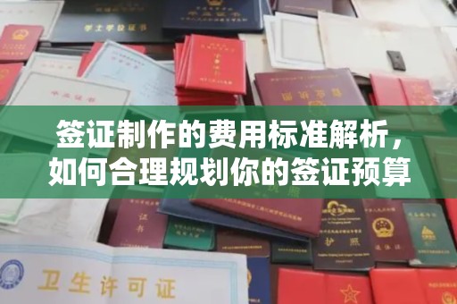 临猗签证制作的费用标准解析，如何合理规划你的签证预算